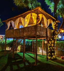 Bluez Terrace Cafe – Terrace + Hall