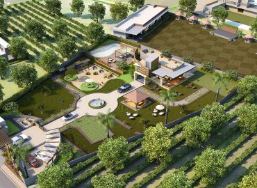 Kabir Farm – lawn