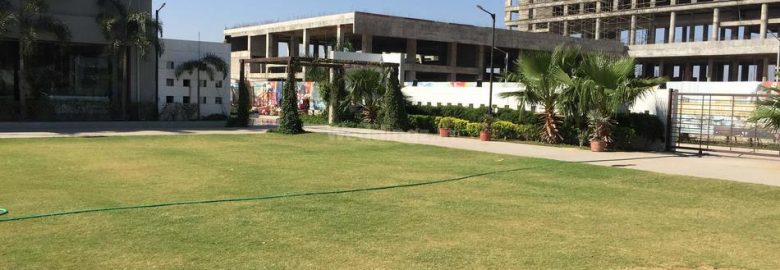 Club Babylon – Lawn 2
