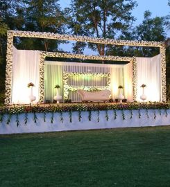 Palm Greens Clubs – Lawn 3